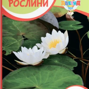 Рослини (9789669453112)